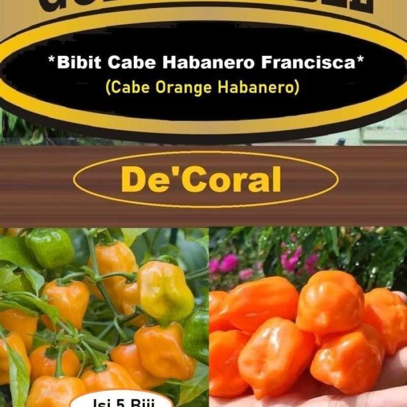 Daftar Habanero Resmi: Tempat Mendapatkan Produk Asli Habanero