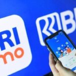 Login Domino BRI: Langkah Mendaftar dan Akses Website Resmi BRI